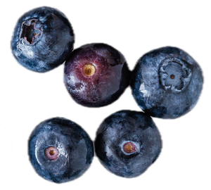 Blueberry