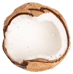 Coconut