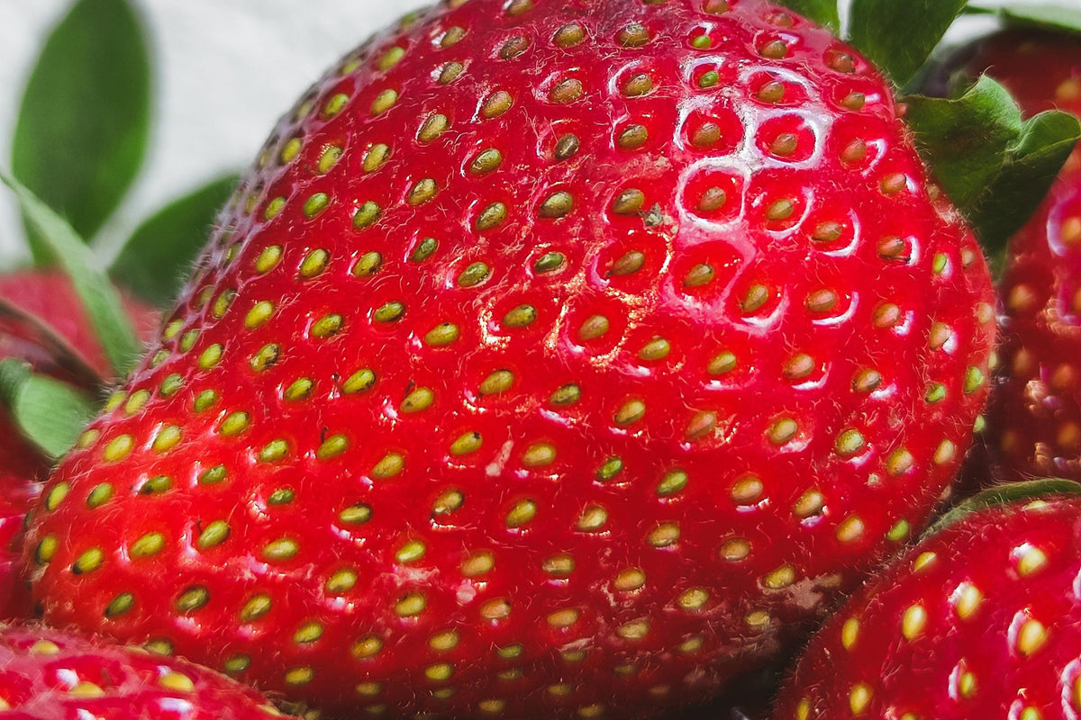 Fresh strawberries up close
